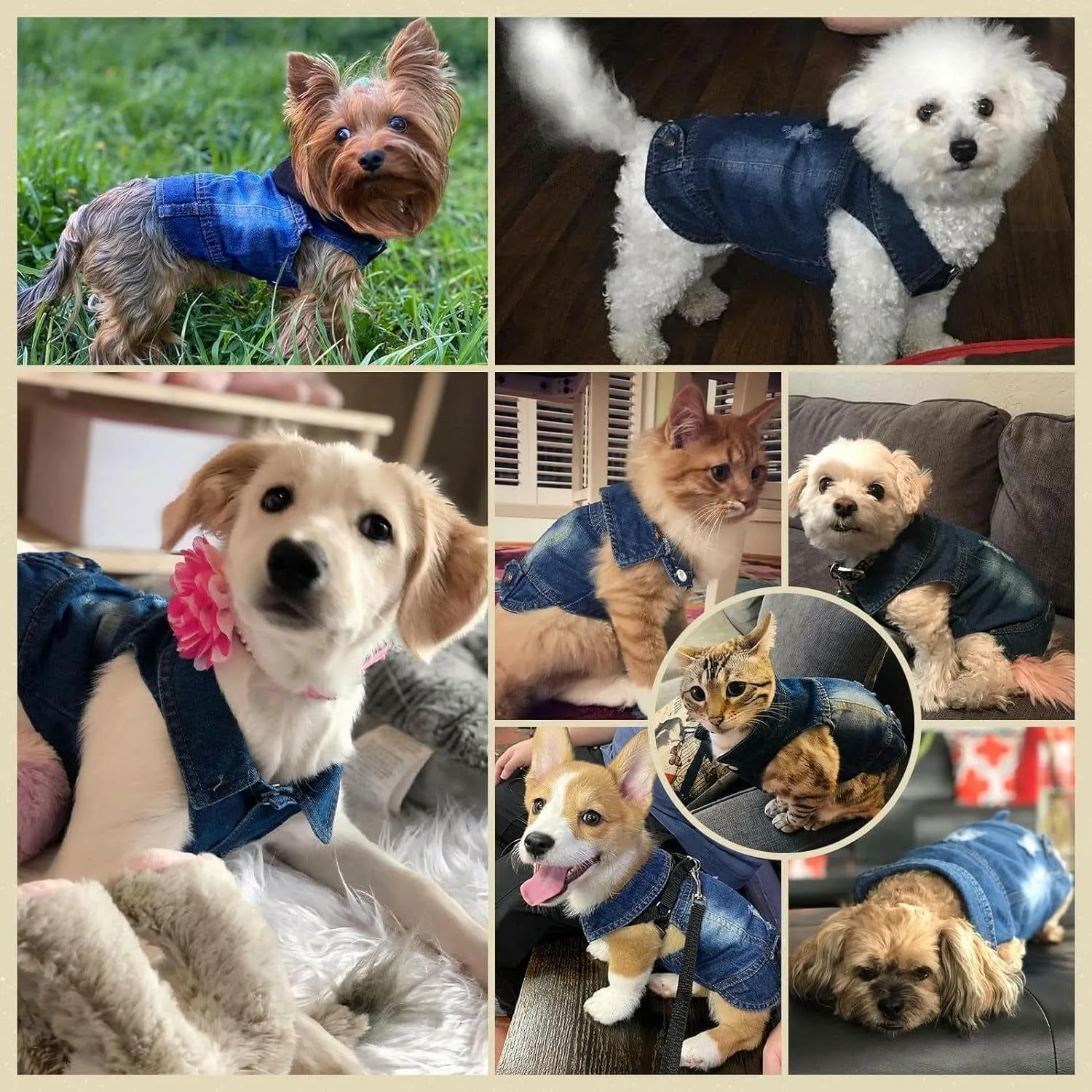 Stylish Cool Blue Denim Jacket for Small Pets