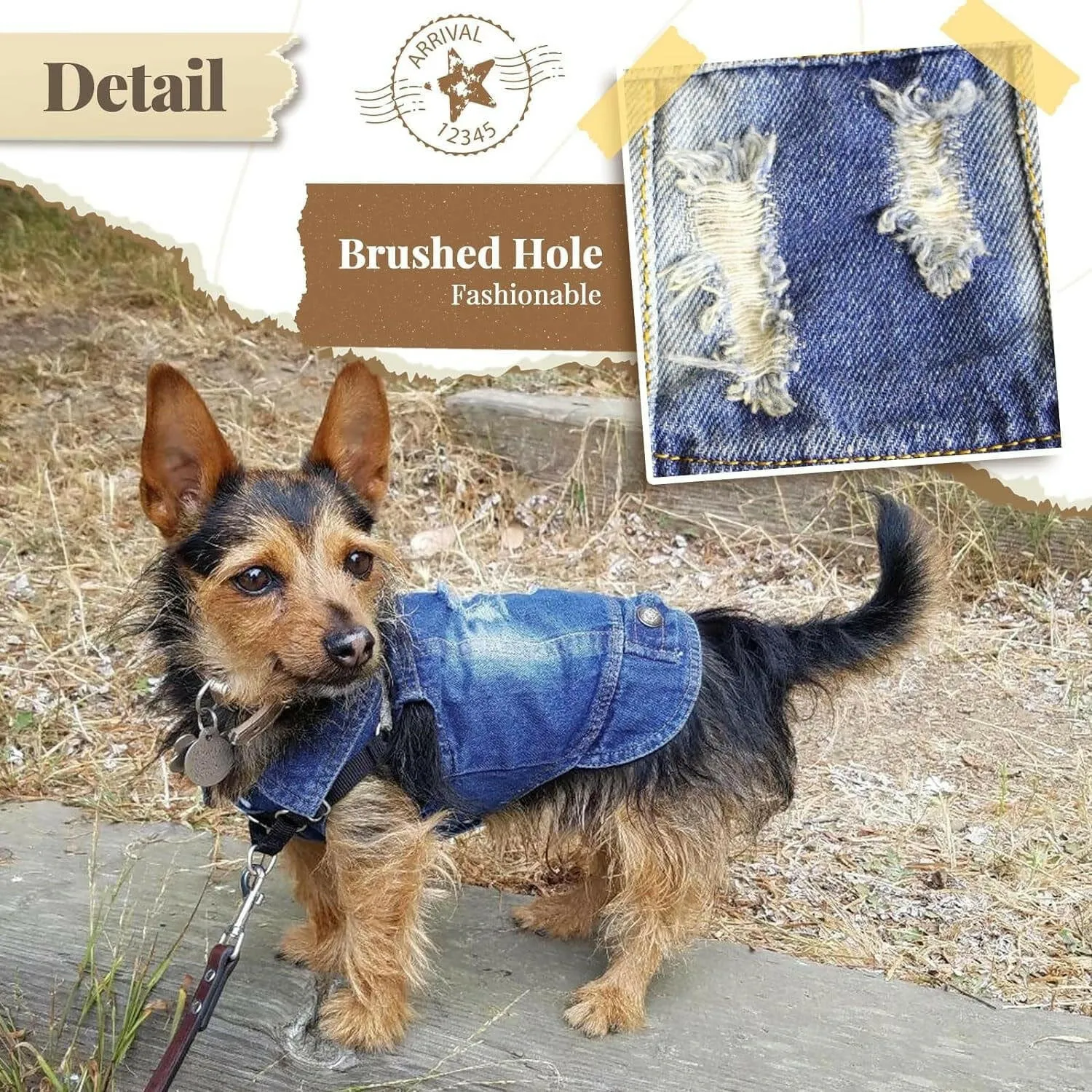 Stylish Cool Blue Denim Jacket for Small Pets